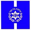 לוגו בית חולים הדסה